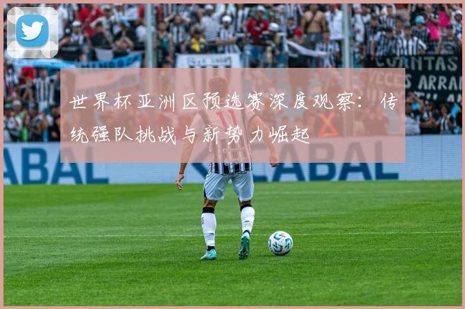 世界杯亚洲区预选赛深度观察:传统强队挑战与新势力崛起