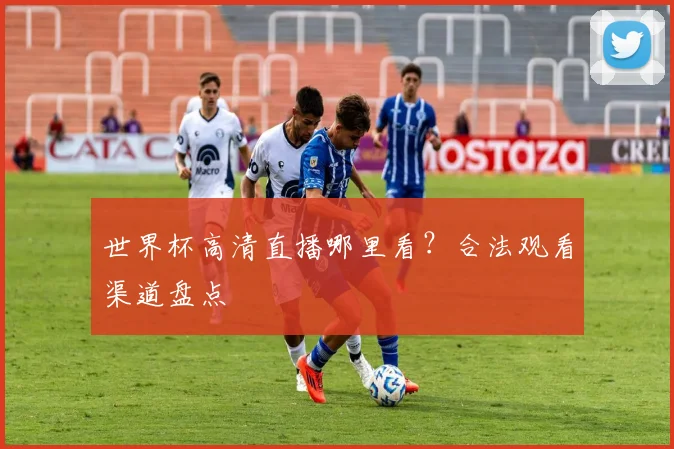世界杯高清直播哪里看？合法观看渠道盘点