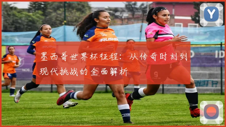 墨西哥世界杯征程：从传奇时刻到现代挑战的全面解析