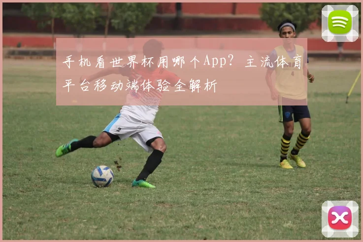 手机看世界杯用哪个App？主流体育平台移动端体验全解析