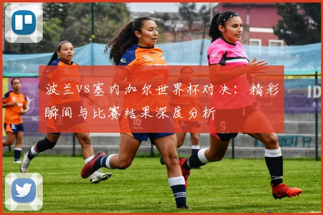 波兰vs塞内加尔世界杯对决：精彩瞬间与比赛结果深度分析