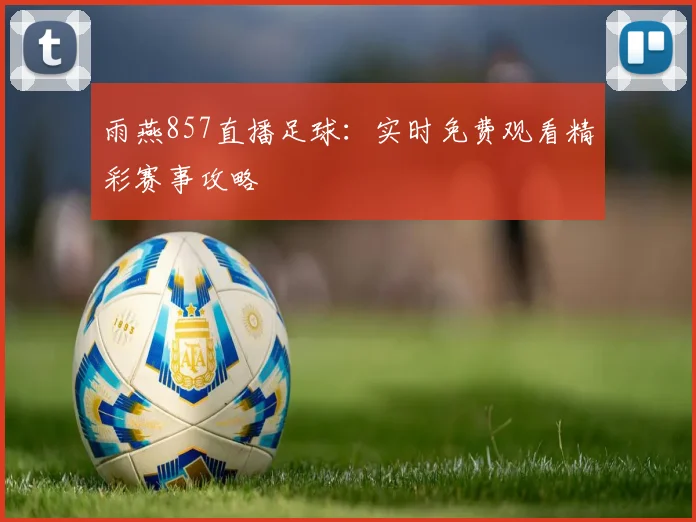 雨燕857直播足球：实时免费观看精彩赛事攻略