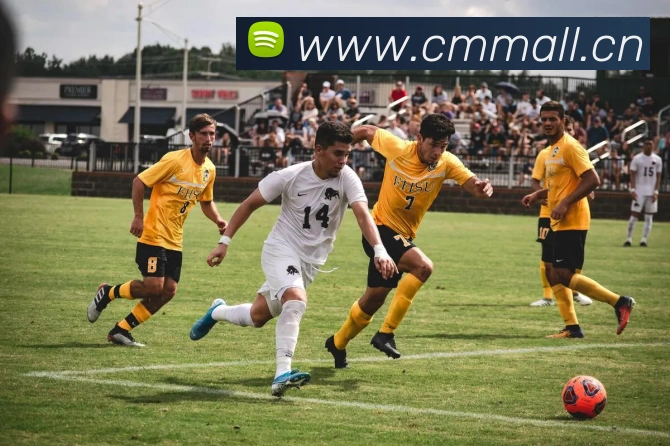 App Interface Preview